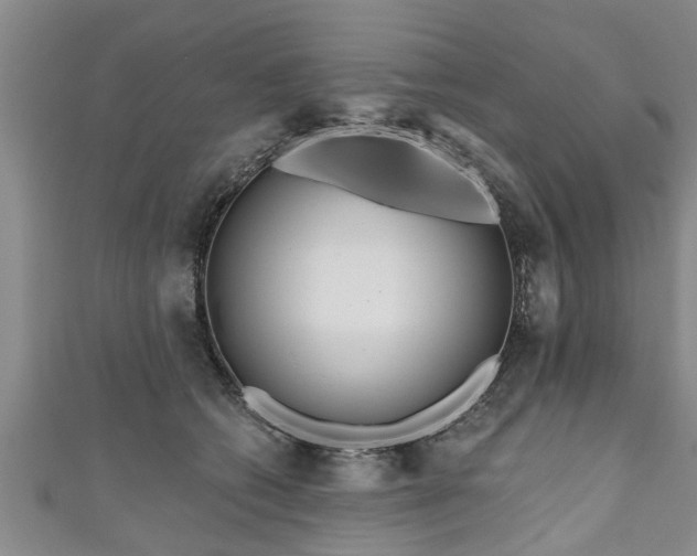 X0000111170562200907081217