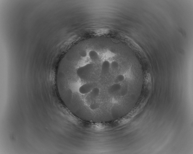 X0000111170565200907081217