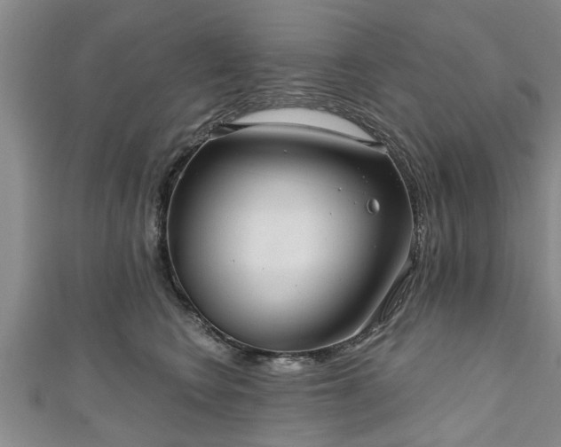 X0000111170566200907081217