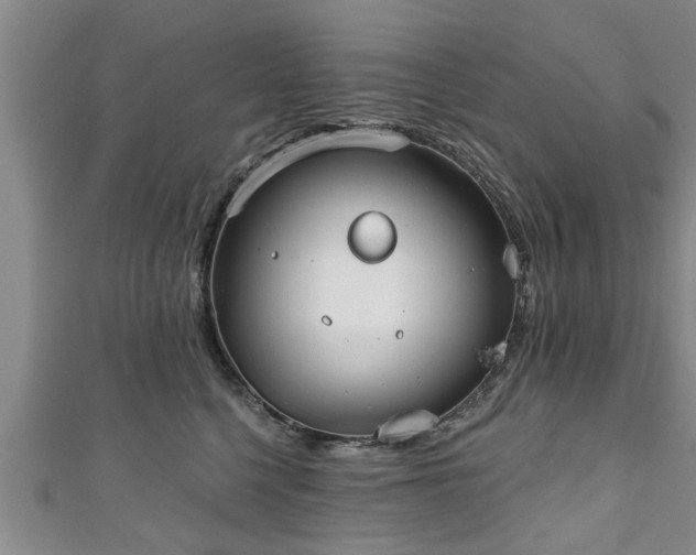 X0000111170568200907081217