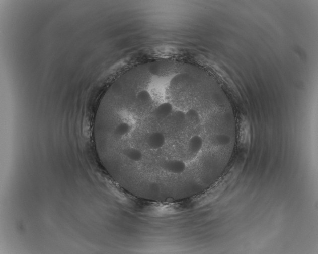 X0000111170569200907081217