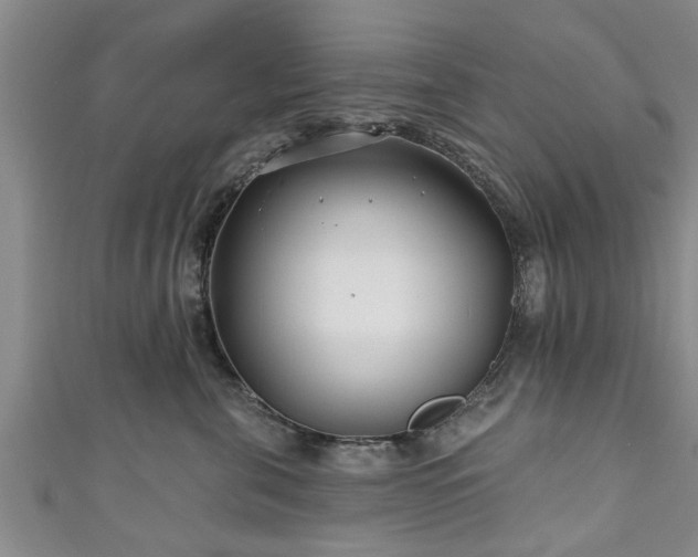 X0000111170571200907081217