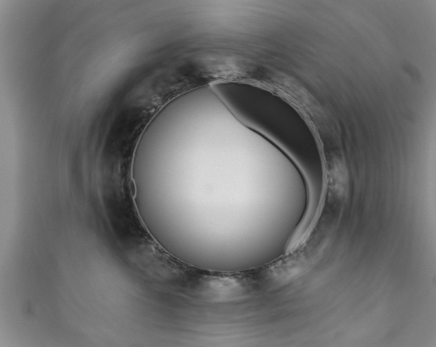 X0000111170572200907081217