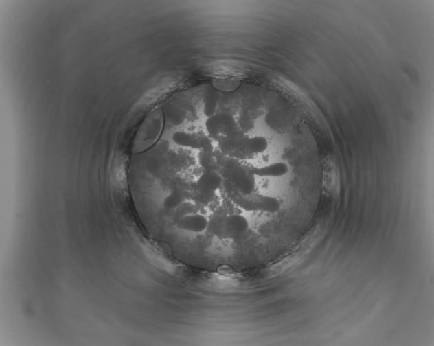 X0000111170573200907081217