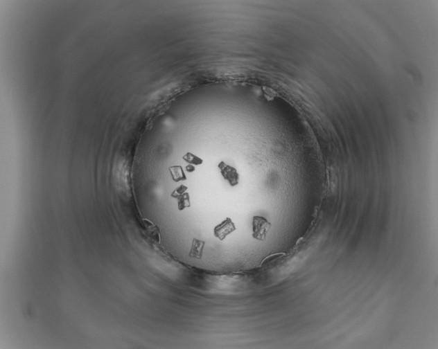X0000111170575200907081217