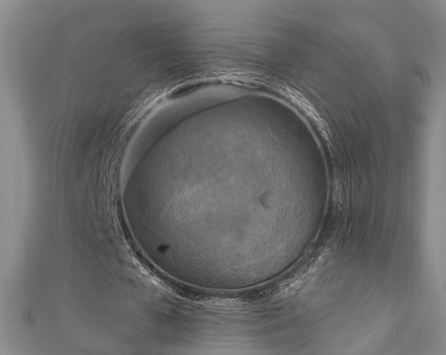 X0000111170577200907081216