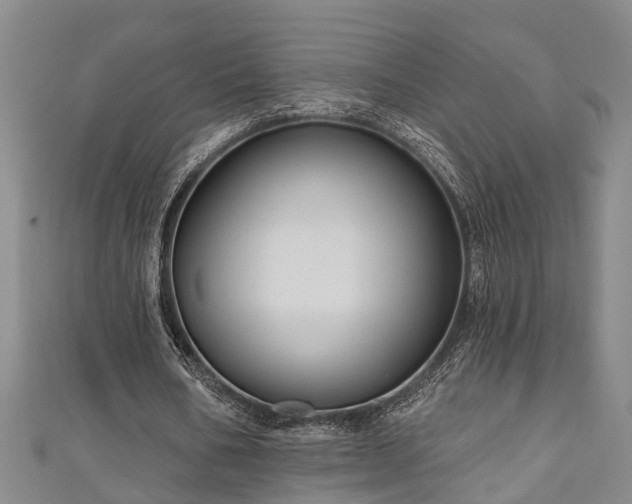 X0000111170578200907081216