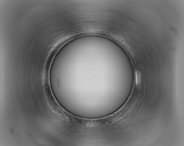 X0000111170579200907081216