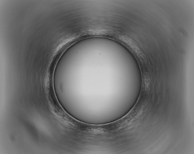 X0000111170583200907081216