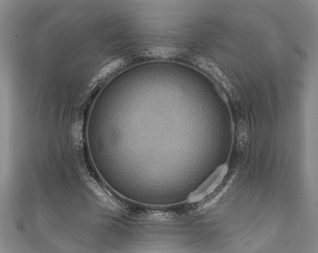 X0000111170585200907081216