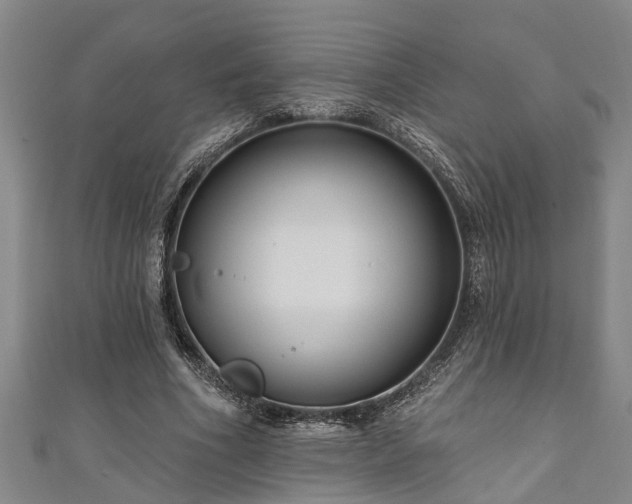 X0000111170586200907081216