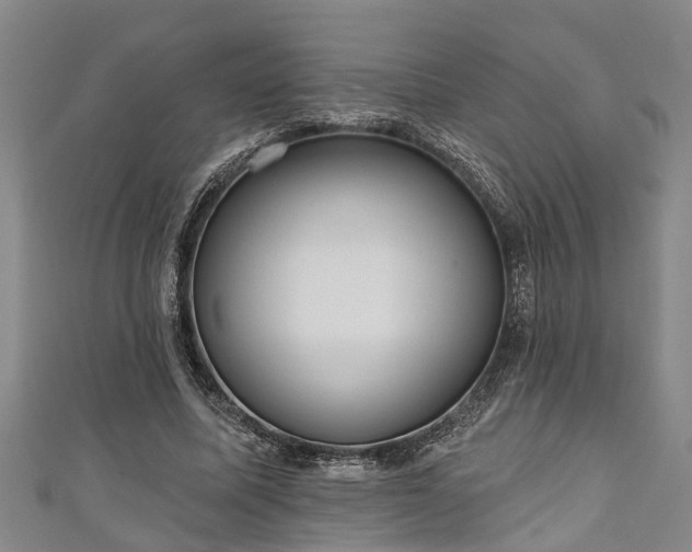 X0000111170587200907081216