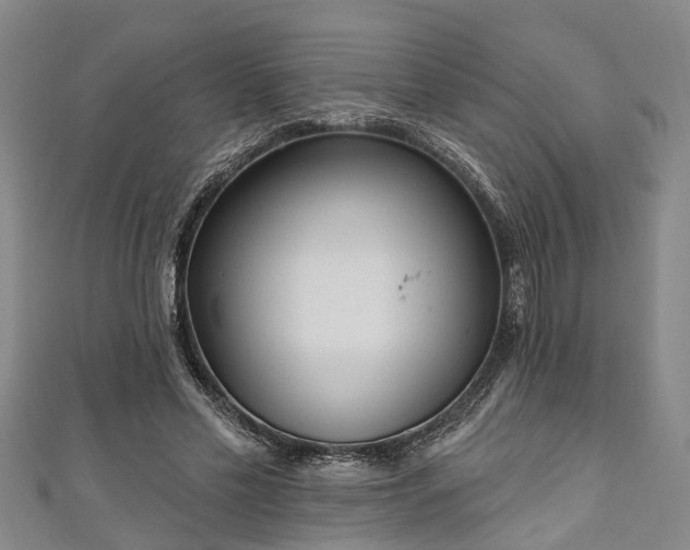 X0000111170589200907081216