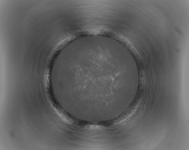 X0000111170590200907081216