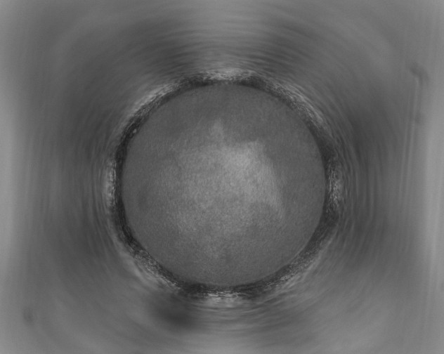 X0000111170591200907081216