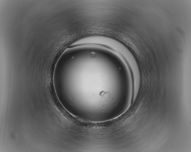 X0000111170593200907081216