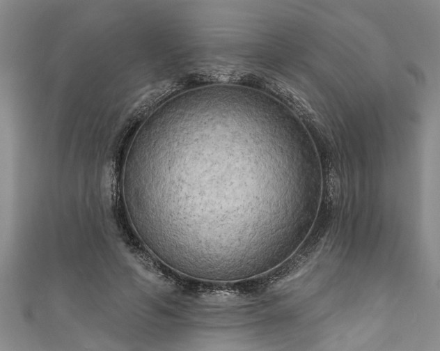 X0000111170594200907081216