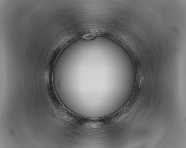 X0000111170595200907081216