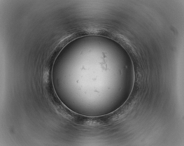 X0000111170596200907081216