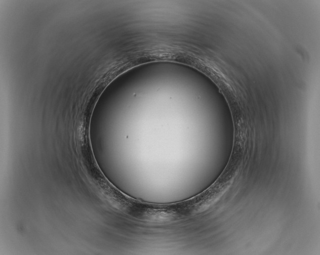 X0000111170597200907081216