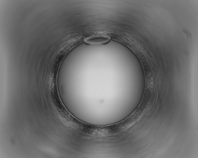 X0000111170599200907081216