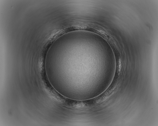 X0000111170600200907081216