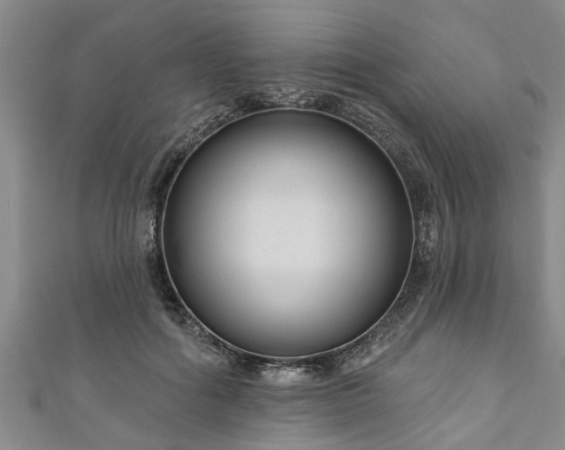 X0000111170602200907081216