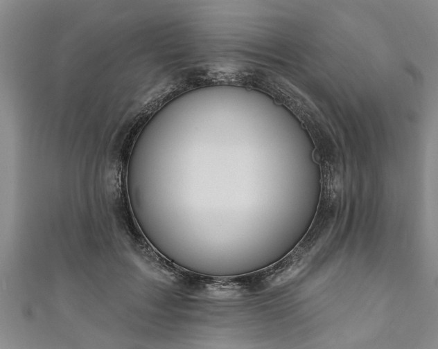 X0000111170603200907081216