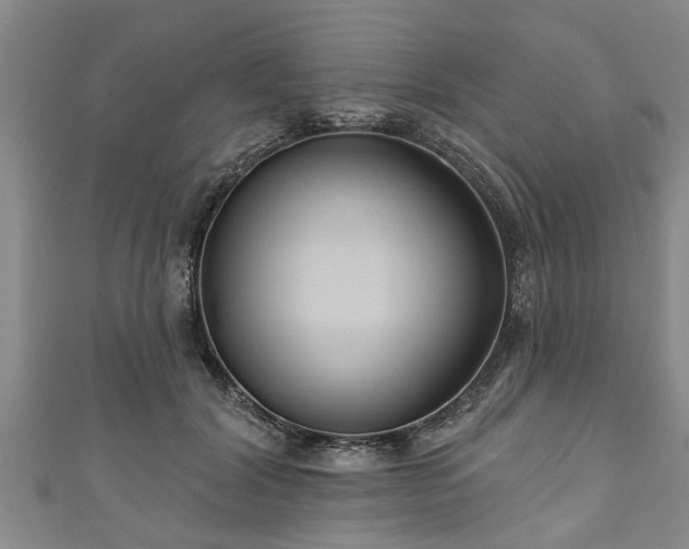 X0000111170604200907081216