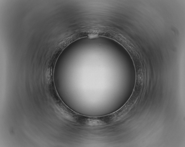 X0000111170605200907081216