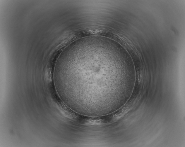 X0000111170606200907081216