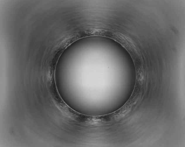 X0000111170607200907081216