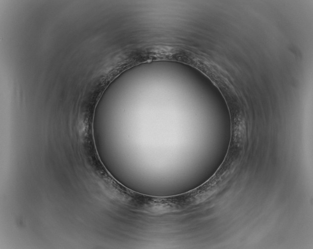 X0000111170608200907081216