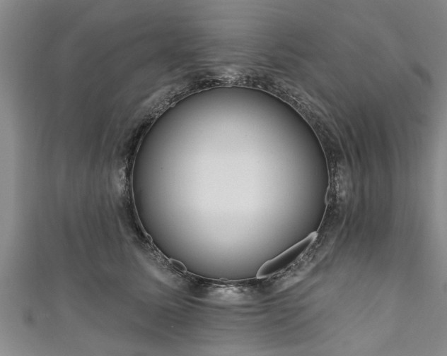 X0000111170611200907081216