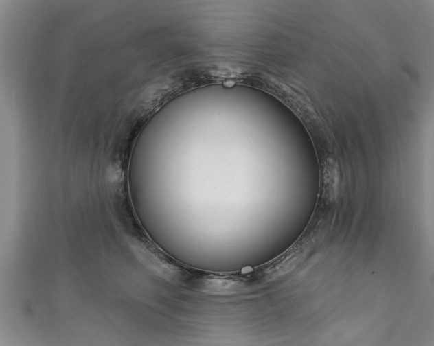 X0000111170614200907081216