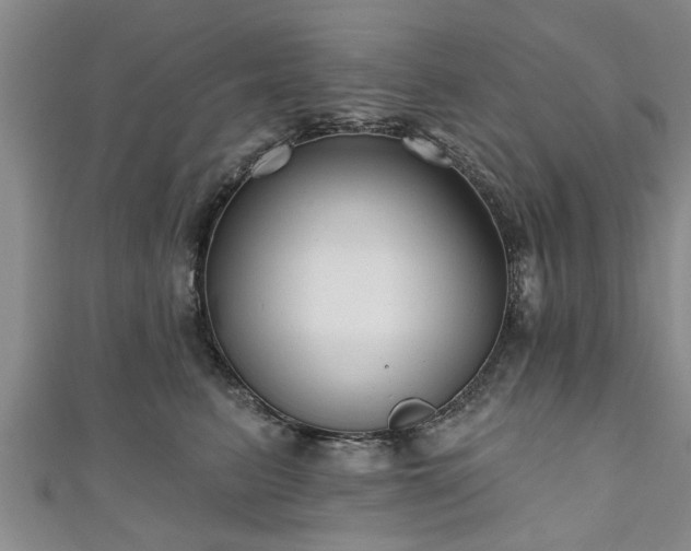 X0000111170615200907081216