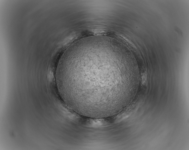 X0000111170618200907081216