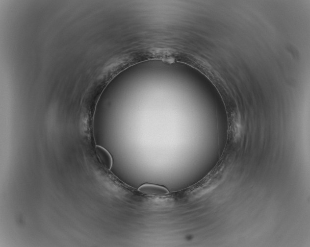 X0000111170619200907081216