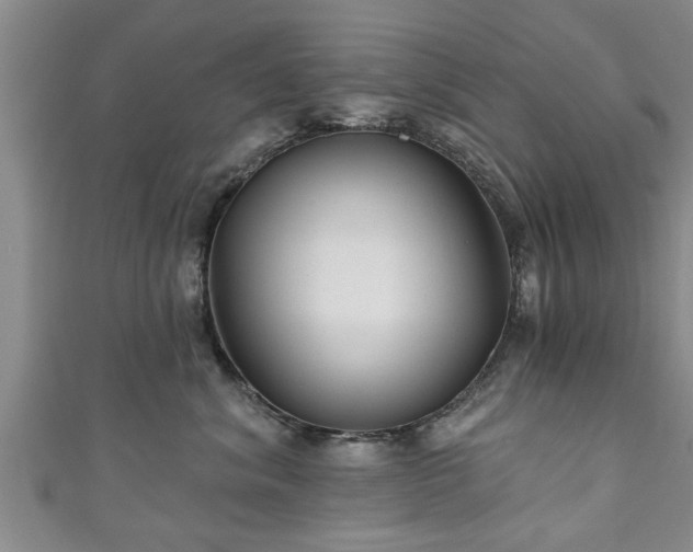 X0000111170620200907081216