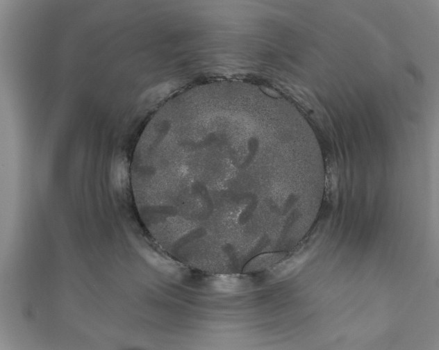 X0000111170623200907081216