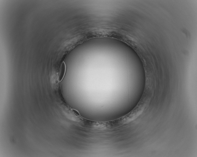 X0000111170624200907081216