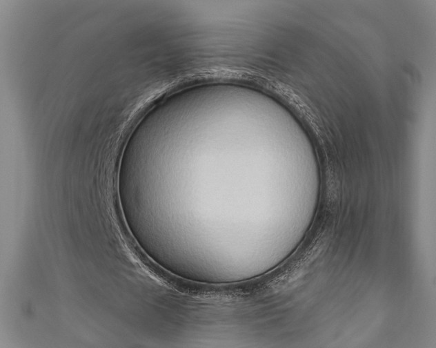 X0000111170625200907081215