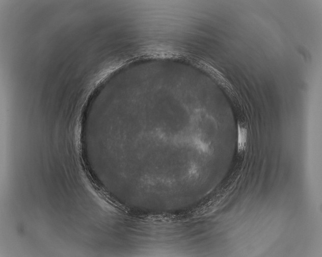 X0000111170627200907081215