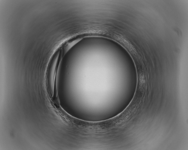 X0000111170628200907081215