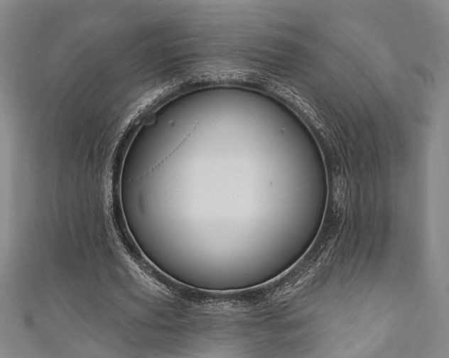 X0000111170629200907081215