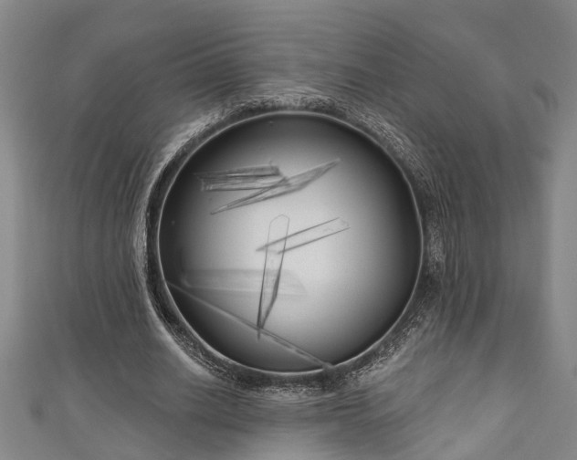 X0000111170630200907081215