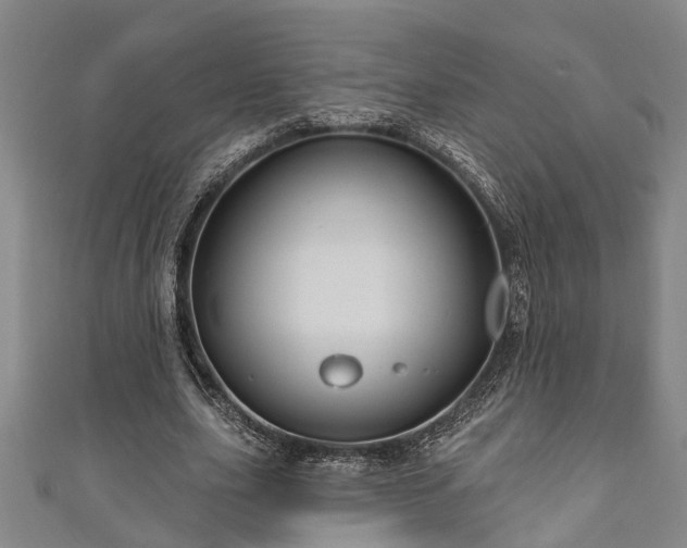 X0000111170631200907081215