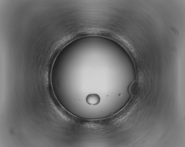 X0000111170633200907081215