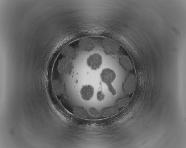 X0000111170634200907081215