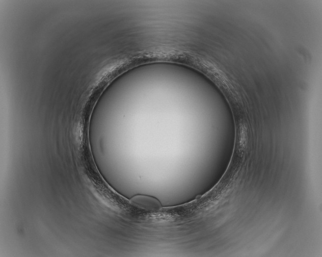 X0000111170636200907081215